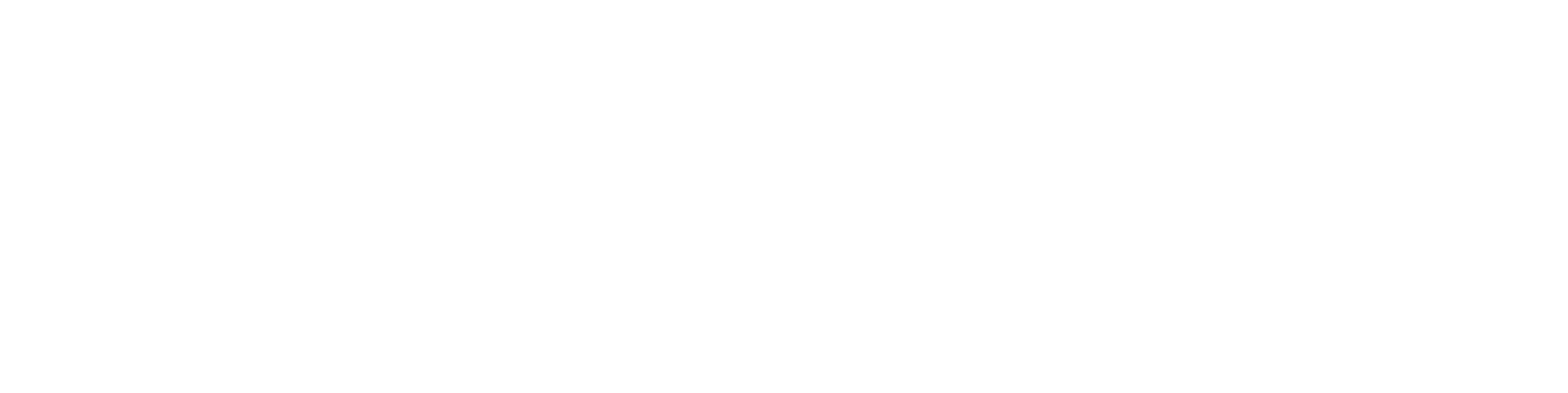 Logo SSID Testing Agency