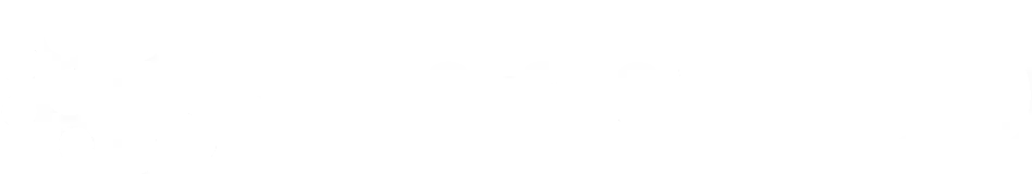 Logo Teach Up
