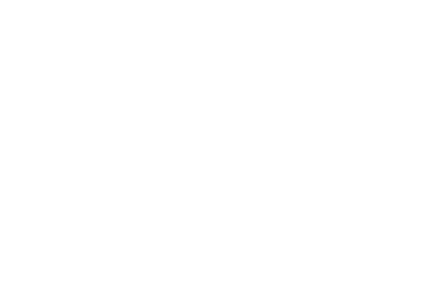 Logo Carrefour