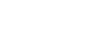 Logo Purse