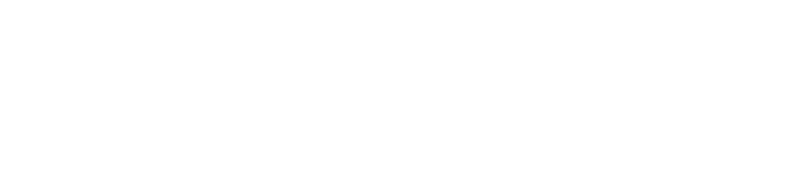 logo apizr